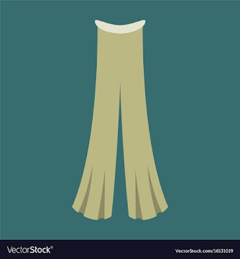 Icon in flat design fashion clothes pants vector image