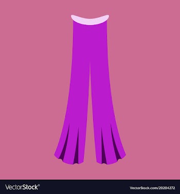 Icon in flat design fashion clothes pants vector image