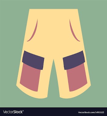 Icon in flat design fashion clothes shorts vector image