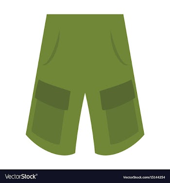 Icon in flat design fashion clothes shorts vector image