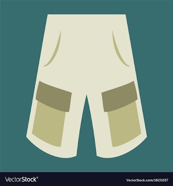 Icon in flat design fashion clothes shorts vector image