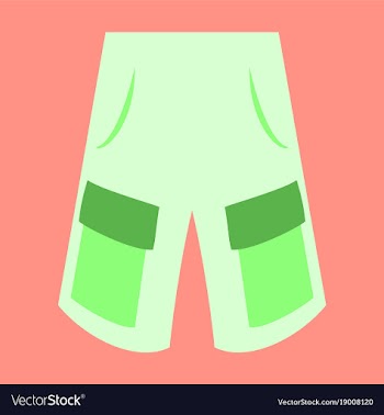 Icon in flat design fashion clothes shorts vector image