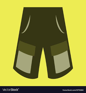 Icon in flat design fashion clothes shorts vector image