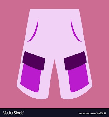Icon in flat design fashion clothes shorts vector image