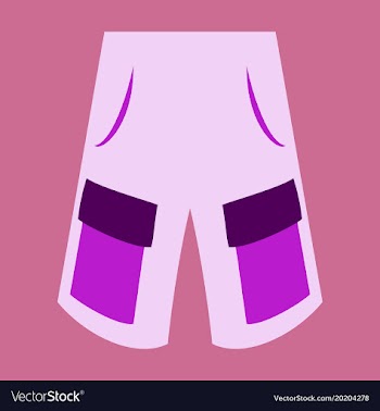 Icon in flat design fashion clothes shorts vector image