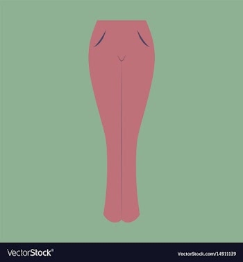 Icon in flat design fashion clothes women jeans vector image