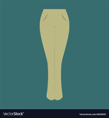Icon in flat design fashion clothes women jeans vector image