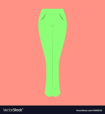 Icon in flat design fashion clothes women jeans vector image