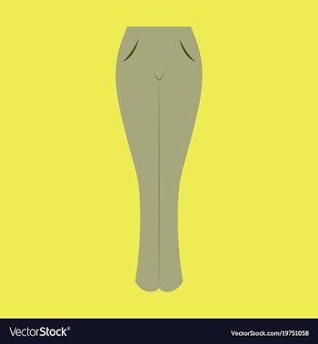 Icon in flat design fashion clothes women jeans vector image