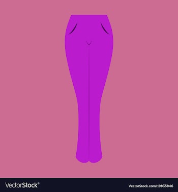 Icon in flat design fashion clothes women jeans vector image