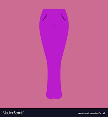 Icon in flat design fashion clothes women jeans vector image