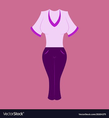 Icon in flat design fashion clothes women pants vector image