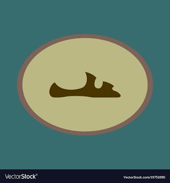 Icon in flat design fashion footwear flip flops vector image