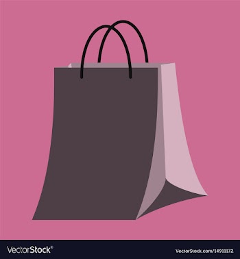 Icon in flat design fashion paper bag vector image