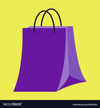Icon in flat design fashion paper bag vector image