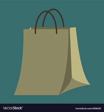 Icon in flat design fashion paper bag vector image