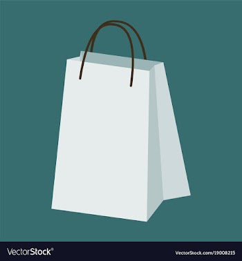 Icon in flat design fashion paper bag vector image