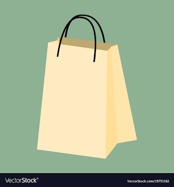 Icon in flat design fashion paper bag vector image