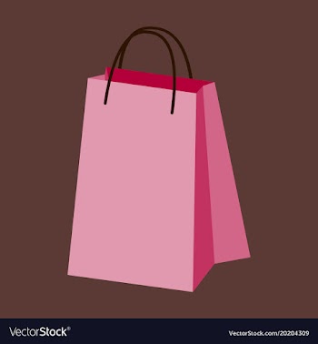 Icon in flat design fashion paper bag vector image