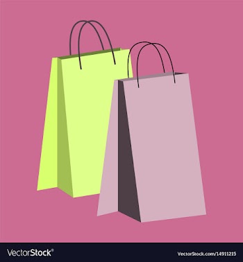 Icon in flat design fashion paper bags vector image