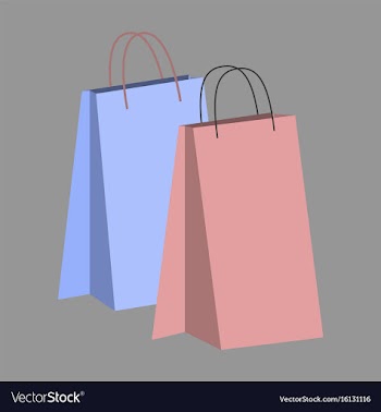 Icon in flat design fashion paper bags vector image