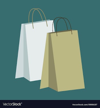 Icon in flat design fashion paper bags vector image