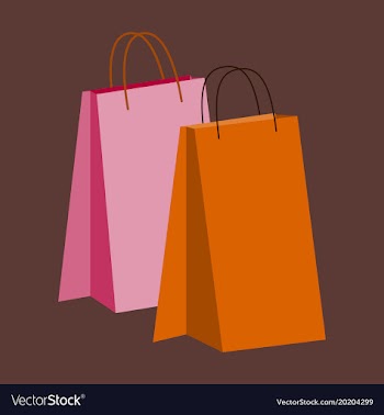 Icon in flat design fashion paper bags vector image