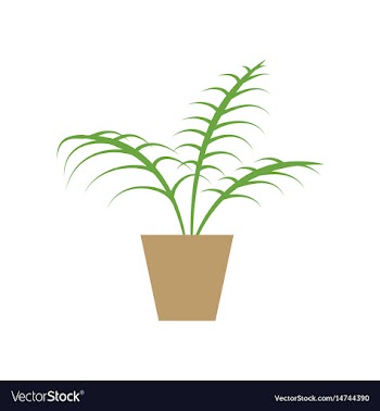Icon in flat design ficus vector image