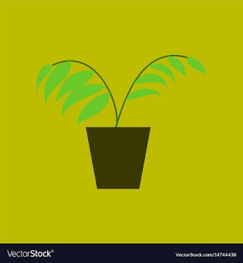 Icon in flat design ficus vector image