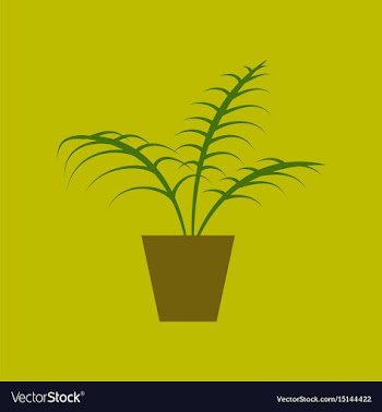 Icon in flat design ficus vector image