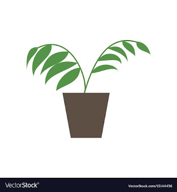 Icon in flat design ficus vector image