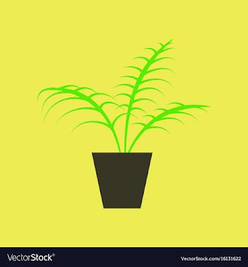 Icon in flat design ficus vector image