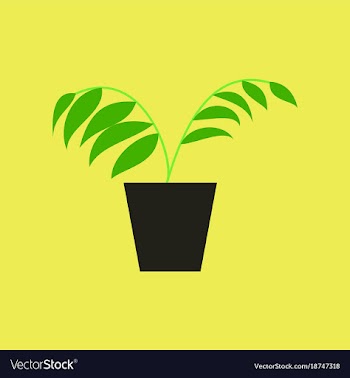 Icon in flat design ficus vector image