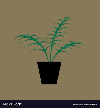 Icon in flat design ficus vector image