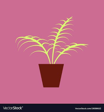Icon in flat design ficus vector image