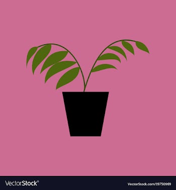 Icon in flat design ficus vector image