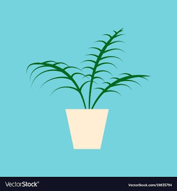 Icon in flat design ficus vector image