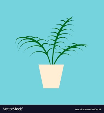 Icon in flat design ficus vector image