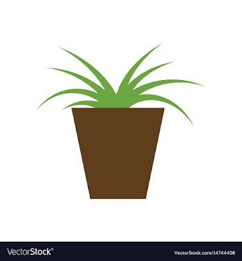 Icon in flat design flower in pot aloe vector image
