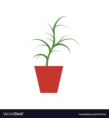 Icon in flat design flower in pot aloe vector image