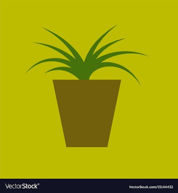 Icon in flat design flower in pot aloe vector image