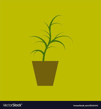 Icon in flat design flower in pot aloe vector image
