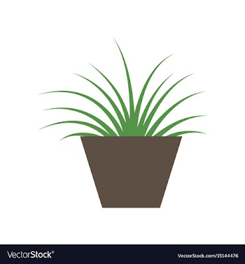 Icon in flat design flower in pot aloe vector image
