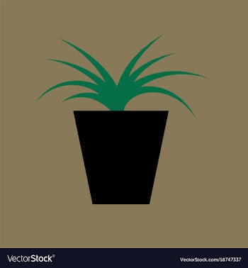 Icon in flat design flower in pot aloe vector image