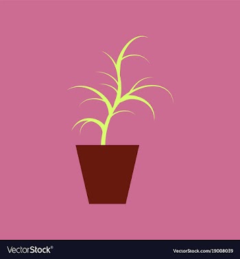 Icon in flat design flower in pot aloe vector image