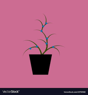 Icon in flat design flower in pot aloe vector image