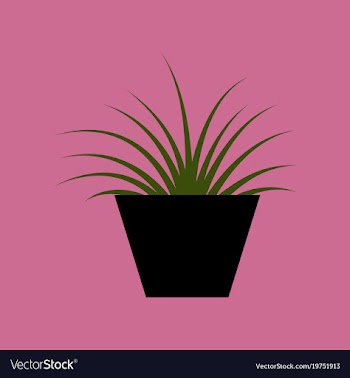 Icon in flat design flower in pot aloe vector image