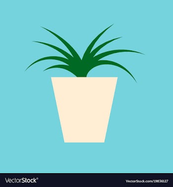 Icon in flat design flower in pot aloe vector image