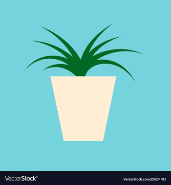 Icon in flat design flower in pot aloe vector image