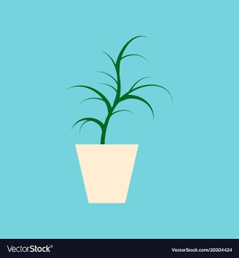 Icon in flat design flower in pot aloe vector image